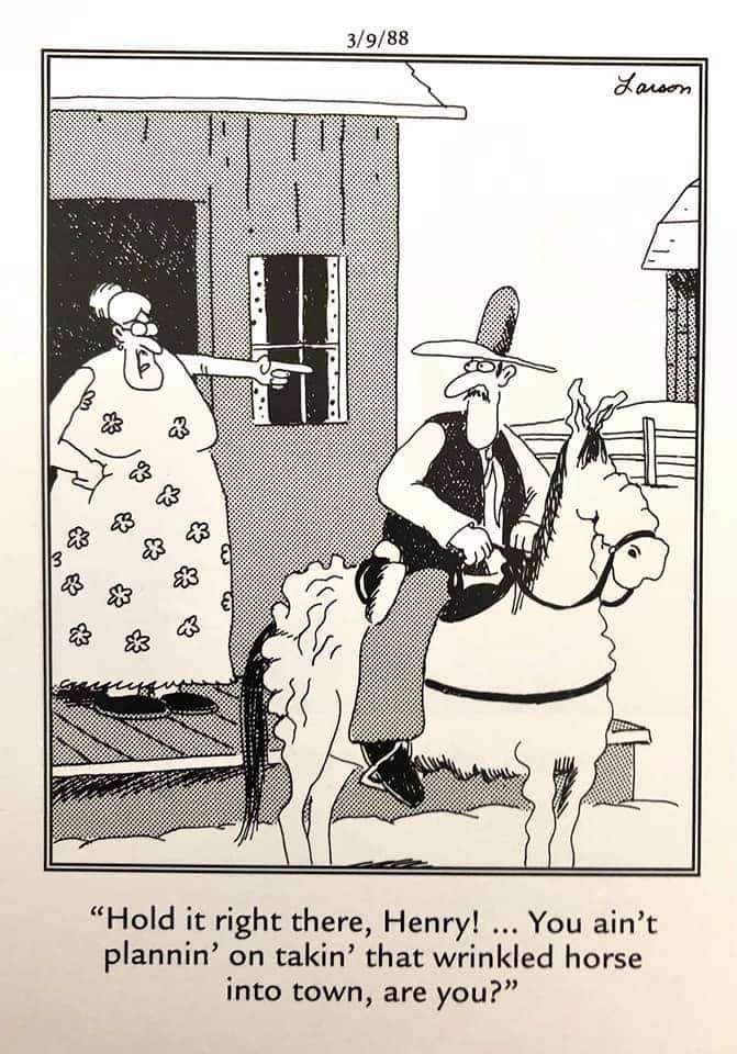 far side comics by gary 26