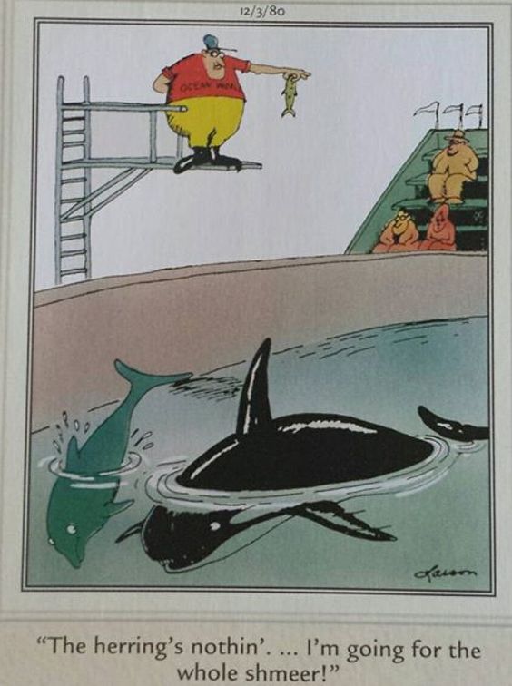 far side comics by gary 6