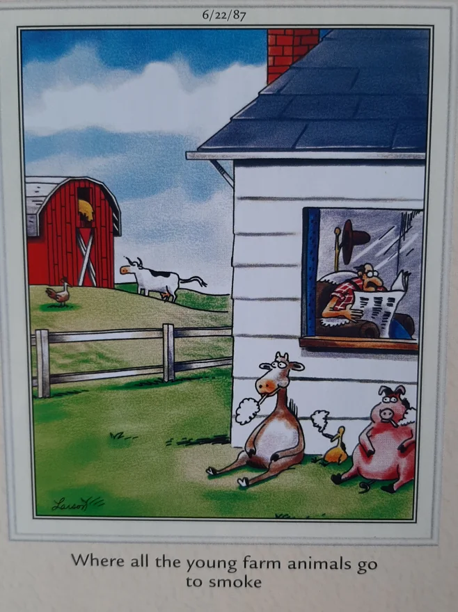 far side comics by gary 9