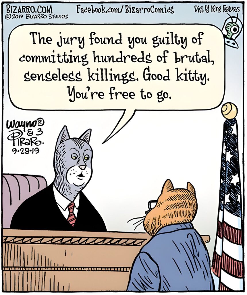 Bizarro Comics To Make Everyone Laugh 164