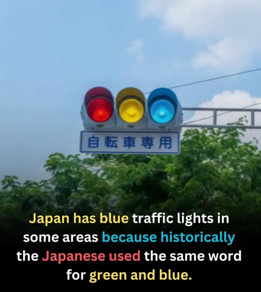 Shocking - Japan Green Traffic Lights: The Curious Case of Blue Signals - 2025 3 Japan Green Traffic Lights
