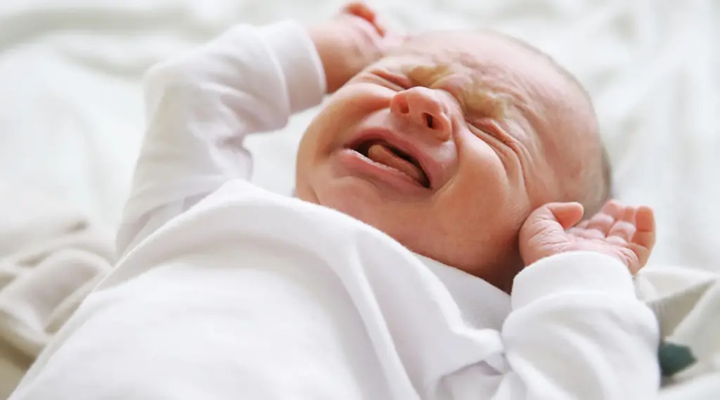 Parents Desperate as Baby Cries Nonstop — What They Found in the Crib Left Them Speechless - 2025 7 Parents Desperate as Baby Cries Nonstop — What They Found in the Crib Left Them Speechless - 2025