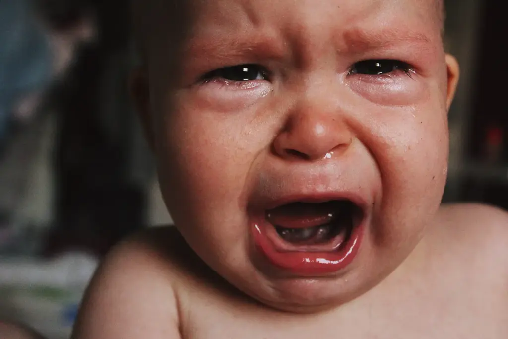 Parents Desperate as Baby Cries Nonstop — What They Found in the Crib Left Them Speechless - 2025 2 Parents Desperate as Baby Cries Nonstop — What They Found in the Crib Left Them Speechless - 2025