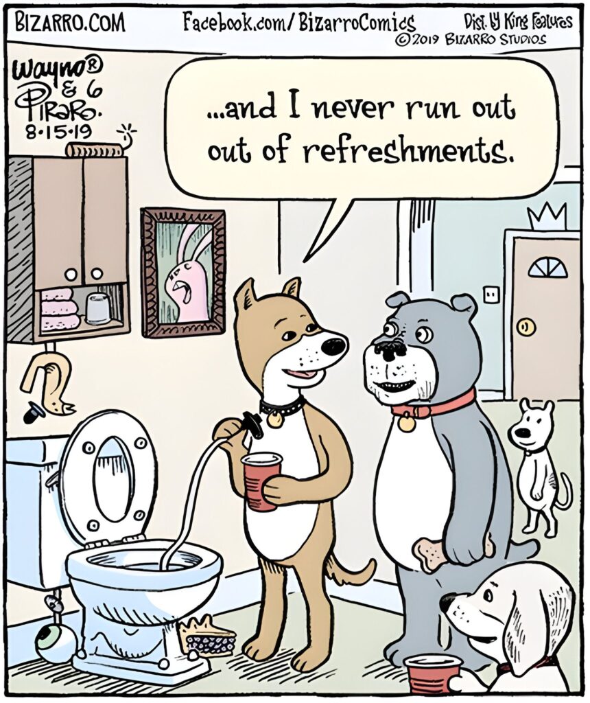 15 Bizarro Comics To Make Your Heart Smile And Your Belly Laugh 12 Bizarro Comics