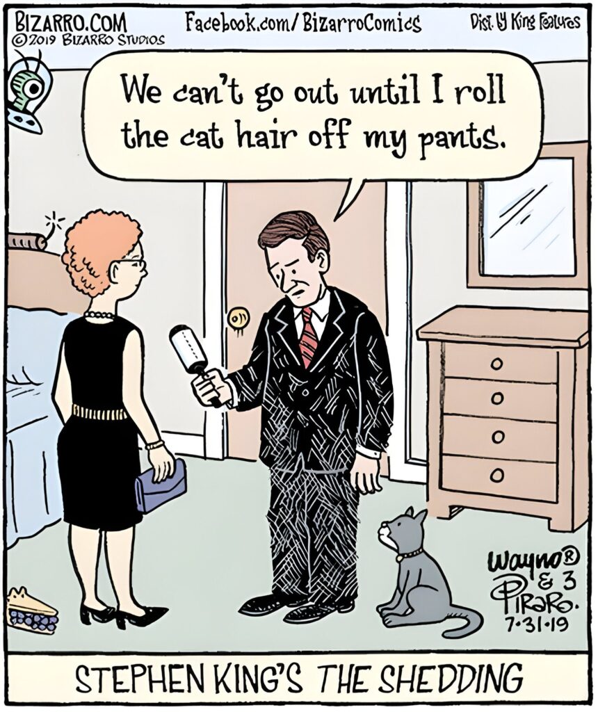15 Bizarro Comics To Make Your Heart Smile And Your Belly Laugh 14 Bizarro Comics