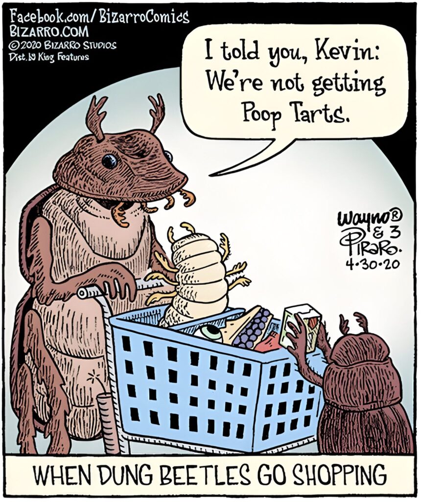 15 Bizarro Comics To Make Your Heart Smile And Your Belly Laugh 5 Bizarro Comics