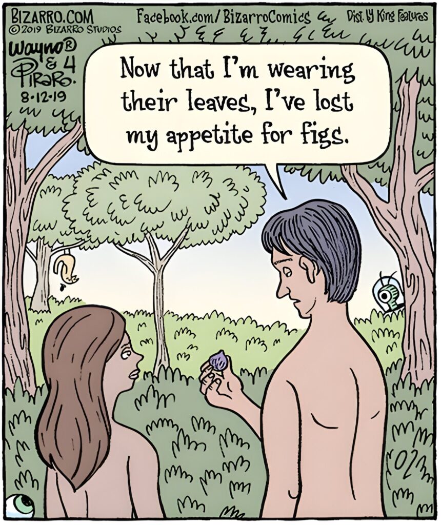 15 Bizarro Humor Side Comics That Will Lighten The Mood Your Day 7 Bizarro Comics