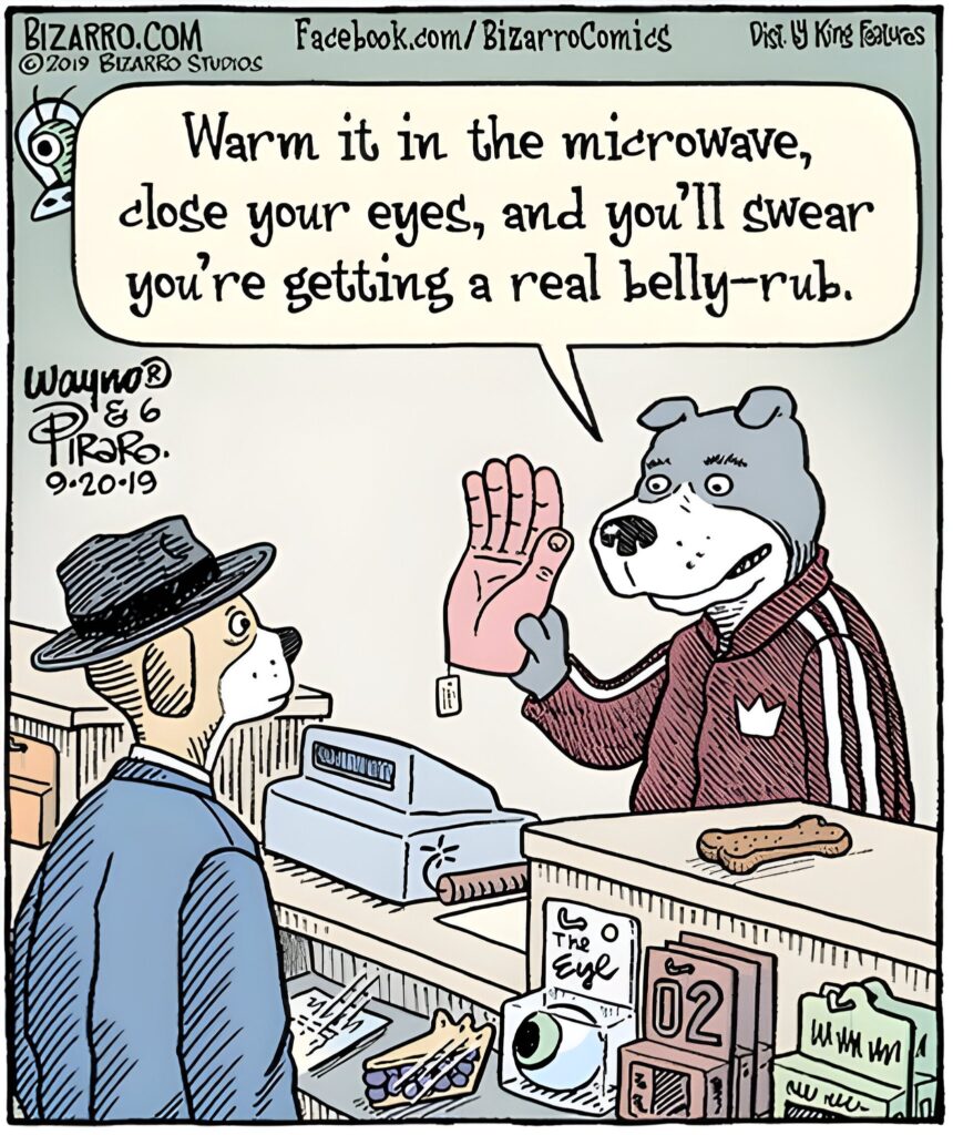 15 Bizarro Humor Side Comics That Will Lighten The Mood Your Day 15 Bizarro Comics