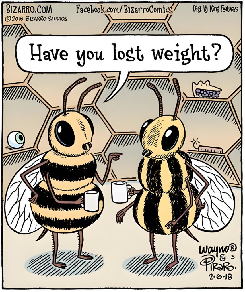 15 Bizarro Funniest Humor Side Comics of All Time To Make Everyone Laugh 5 Bizarro Comics To Make Everyone Laugh 424