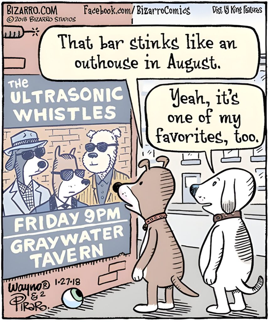 15 Bizarro Funniest Humor Side Comics of All Time To Make Everyone Laugh 7 Bizarro Comics To Make Everyone Laugh 426