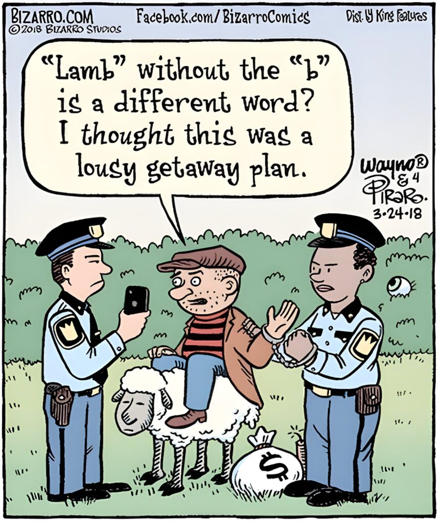 15 Bizarro Humor Side Comics That Will Make Your Day Bright 3 Bizarro Comics