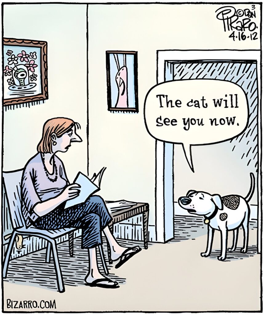 15 Bizarro Humor Side Comics That Will Make Your Day Bright 7 Bizarro Comics