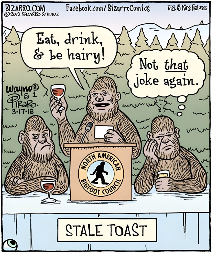 15 Bizarro Humor Side Comics That Will Make Your Day Bright 9 Bizarro Comics