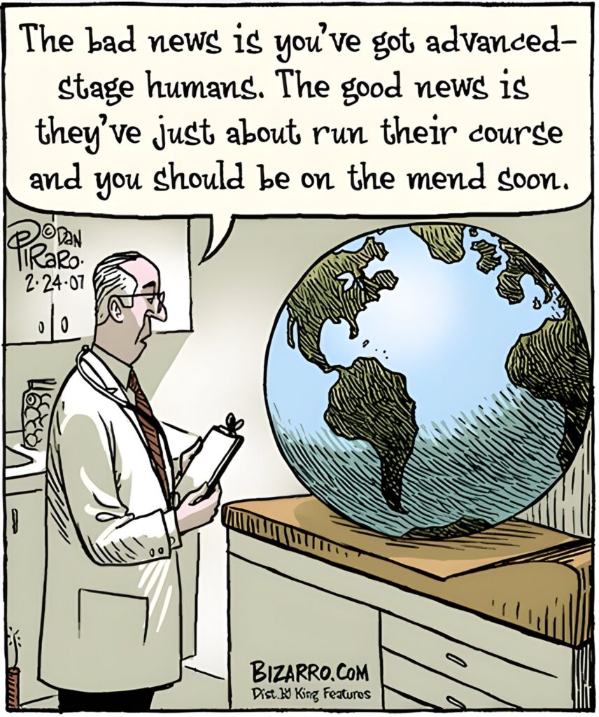 15 Bizarro Old Humor Side Comics With Full of Laughter 13 Bizarro Comics To Make Everyone Laugh 484