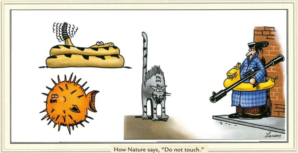 20 Humor Side Best Comics That Will Enhance Your Day 2 The Far Side Comics