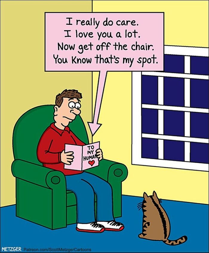 20 Humor Side Best Comics That Will Enhance Your Day 12 This man has been creating cat drawings for over 25 years and here are his newest ones 6565b8dfc267f 700