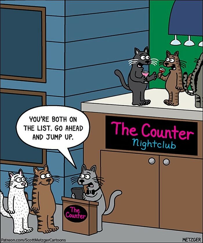 20 Humor Side Best Comics That Will Enhance Your Day 14 This man has been creating cat drawings for over 25 years and here are his newest ones 6565b8e3f07ba 700