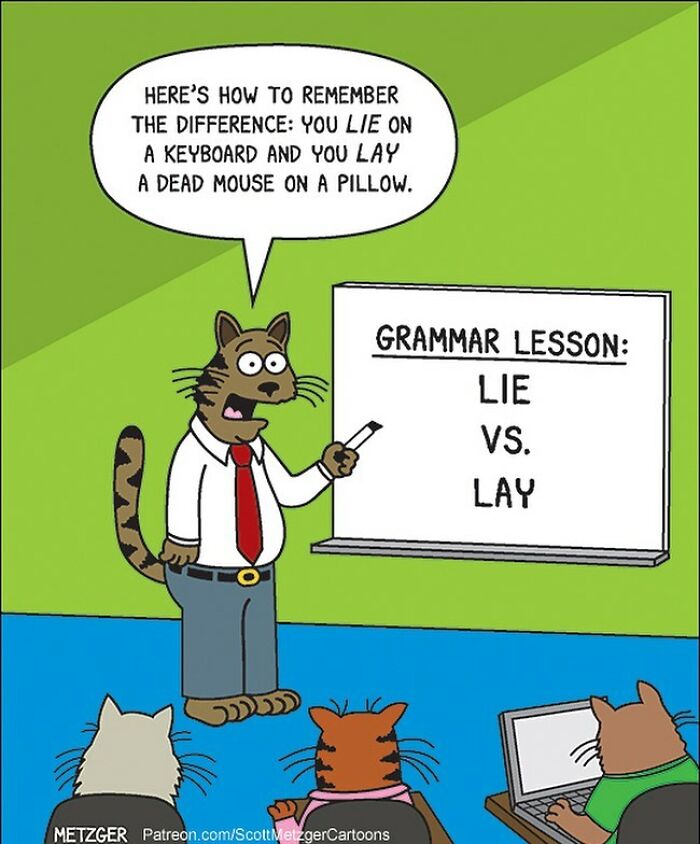 20 Humor Side Best Comics That Will Enhance Your Day 16 This man has been creating cat drawings for over 25 years and here are his newest ones 6565b8ec54bca 700