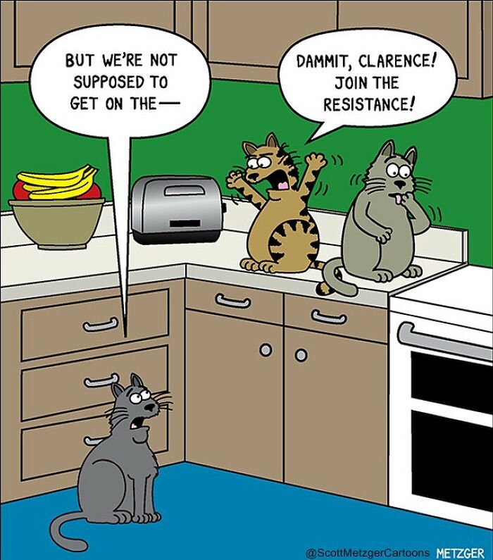 20 Hilarious Far Side Comics That Will Lift Your Soul 20 This man has been creating cat drawings for over 25 years and here are his newest ones 6565b928c1ba9 700