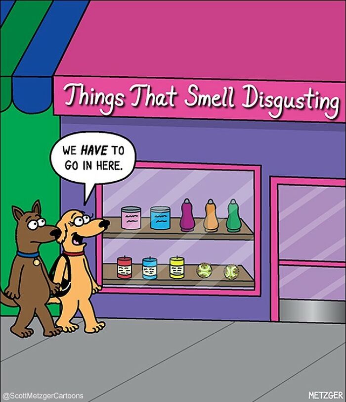 20 Laugh Out Loud Humor Comics To Make Your Life Easy 11 This man has been creating cat drawings for over 25 years and here are his newest ones 6565b9304421a 700