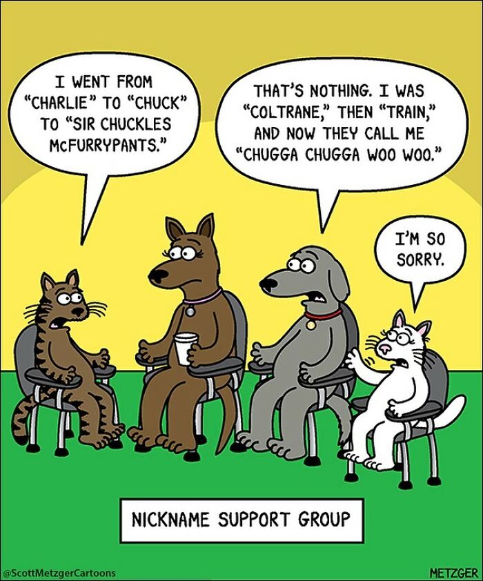 20 Best Humorous Comics That Will Keep You Laughing 10 This man has been creating cat drawings for over 25 years and here are his newest ones 6565b933eedd7 700