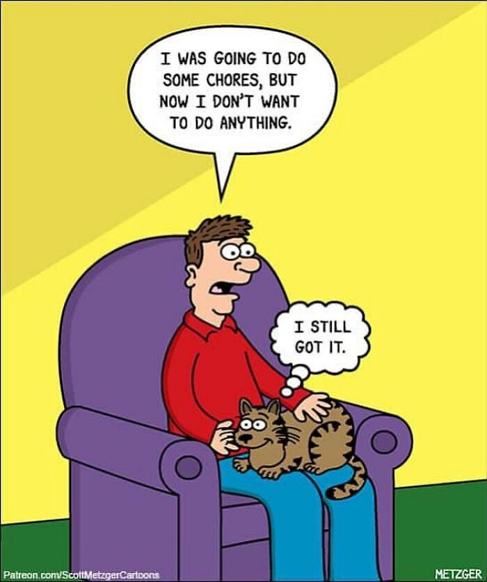 20 Best Funny The Humor Side Comics To Laugh Out Loud 11 This man has been creating cat drawings for over 25 years and here are his newest ones 6565b93606da6 700