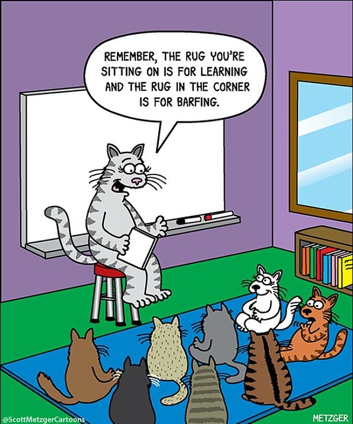 20 Best Funny The Humor Side Comics To Laugh Out Loud 13 This man has been creating cat drawings for over 25 years and here are his newest ones 6565b94030cc4 700
