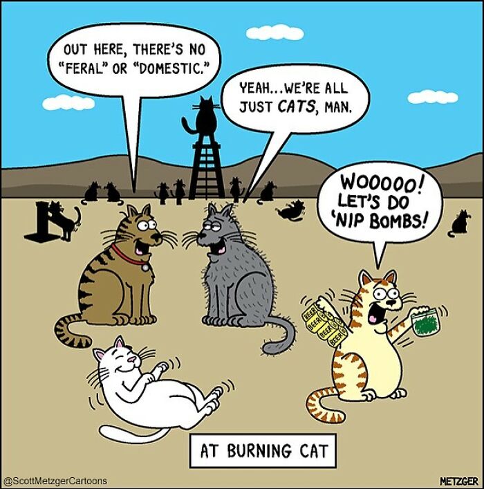 20 Best The Far Side Comics That Will Boost Your Mood 14 This man has been creating cat drawings for over 25 years and here are his newest ones 6565b94a3f34c 700