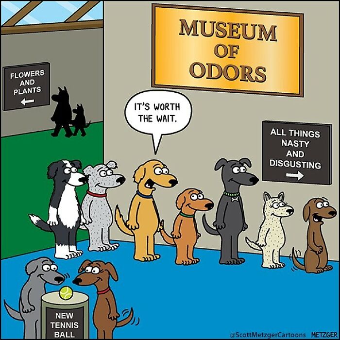 20 Best The Far Side Comics That Will Boost Your Mood 15 This man has been creating cat drawings for over 25 years and here are his newest ones 6565b94c6d151 700