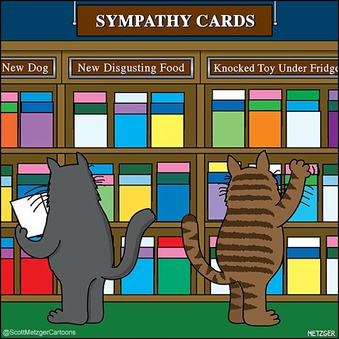 20 Best Funny The Humor Side Comics To Laugh Out Loud 18 This man has been creating cat drawings for over 25 years and here are his newest ones 6565b952817cd 700