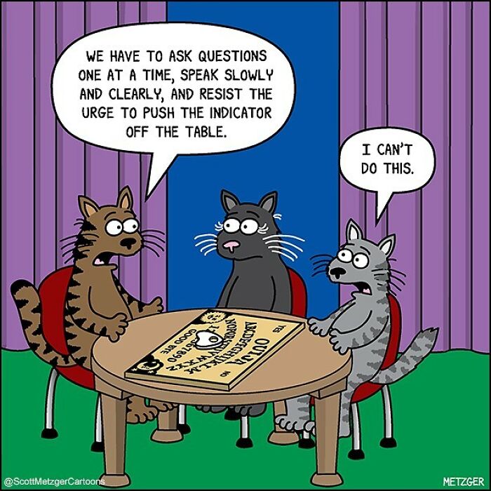 20 Best The Far Side Comics That Will Boost Your Mood 20 This man has been creating cat drawings for over 25 years and here are his newest ones 6565b95fe81af 700