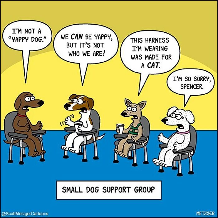 20 Best Humorous Comics That Will Keep You Laughing 17 This man has been creating cat drawings for over 25 years and here are his newest ones 6565b9621be4e 700