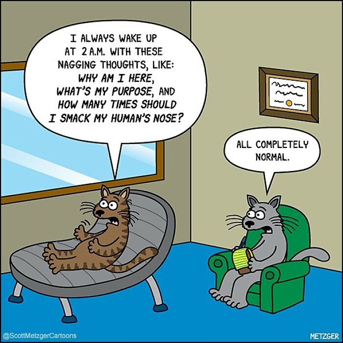 20 Best Funny The Humor Side Comics To Laugh Out Loud 16 This man has been creating cat drawings for over 25 years and here are his newest ones 6565b96429d8a 700