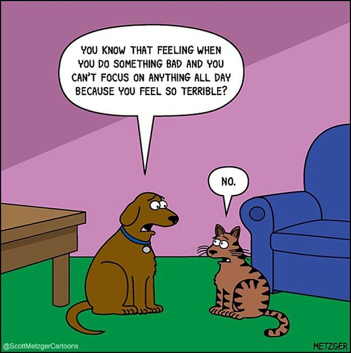 20 Best Humorous Comics That Will Keep You Laughing 12 This man has been creating cat drawings for over 25 years and here are his newest ones 6565b965eb617 700