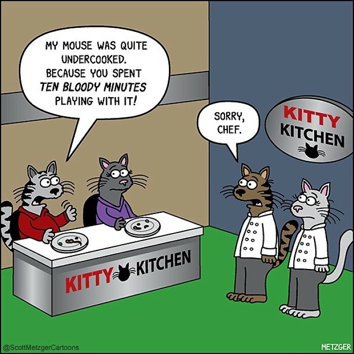 20 Best Humorous Comics That Will Keep You Laughing 13 This man has been creating cat drawings for over 25 years and here are his newest ones 6565b967ee5f3 700