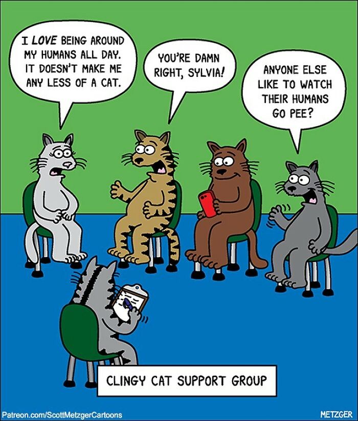 20 Fresh Humor Side Comics Will Brighten Your Day 9 This man has been creating cat drawings for over 25 years and here are his newest ones 6565ba279518d 700