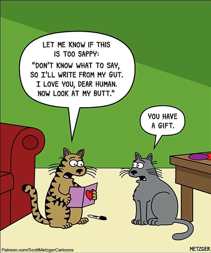 20 Laugh Out Loud Humor Comics To Make Your Life Easy 16 This man has been creating cat drawings for over 25 years and here are his newest ones 6565ba2da378c 700
