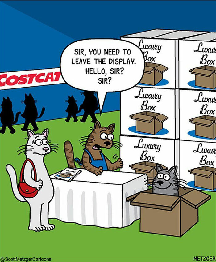 20 Comics May Cause An Uncontrollable Urge To Laugh 11 humor 11