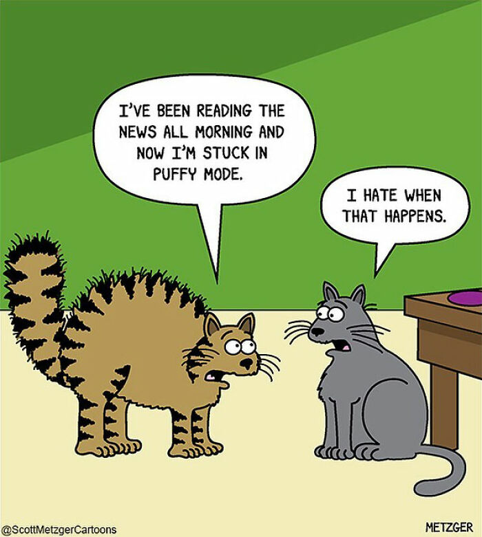 20 Comics May Cause An Uncontrollable Urge To Laugh 12 humor 12