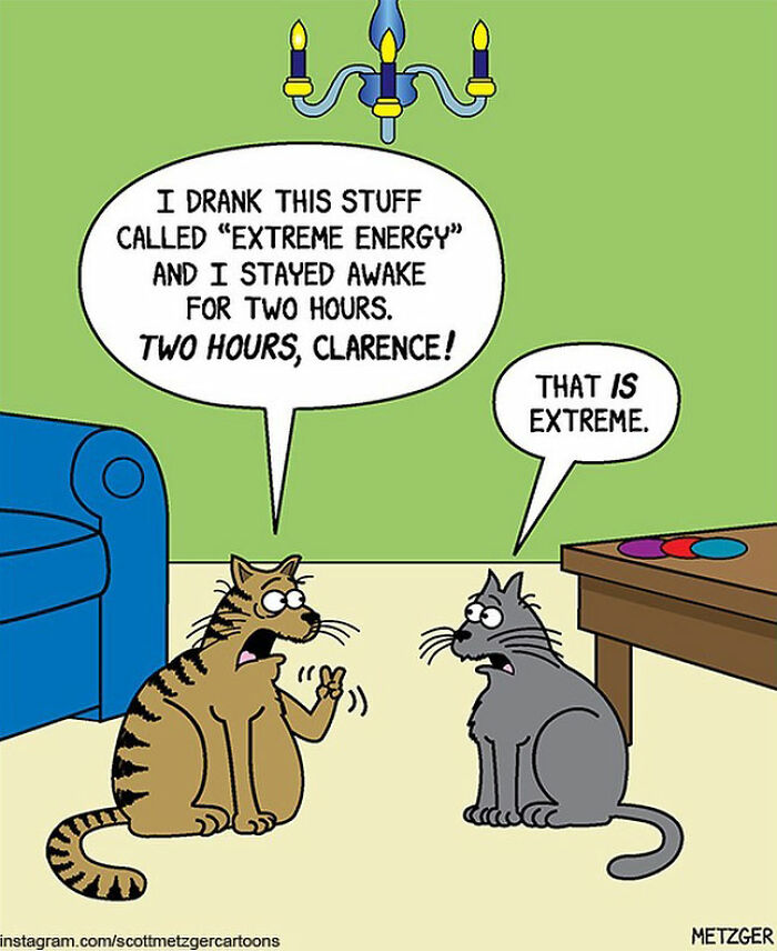 20 Fresh Humor Side Comics Will Brighten Your Day 17 humor 8