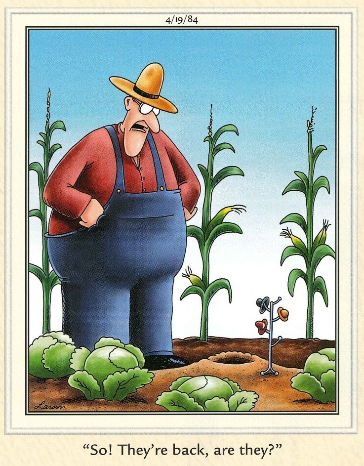 20 Best Funny The Humor Side Comics To Laugh Out Loud 4 the Far Side Comics