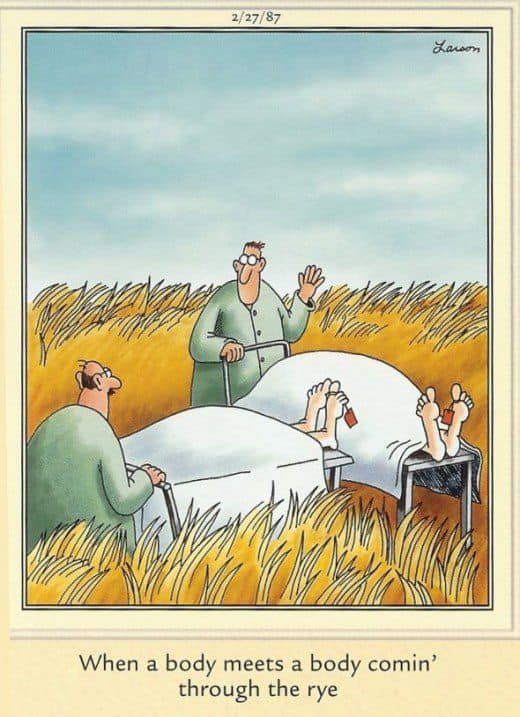 20 Best Funny The Humor Side Comics To Laugh Out Loud 6 the far side comics 24