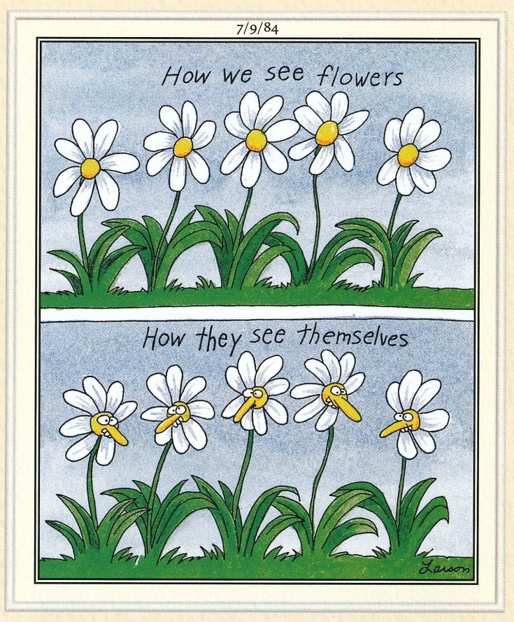 20 Best Funny The Humor Side Comics To Laugh Out Loud 8 the Far Side Comics