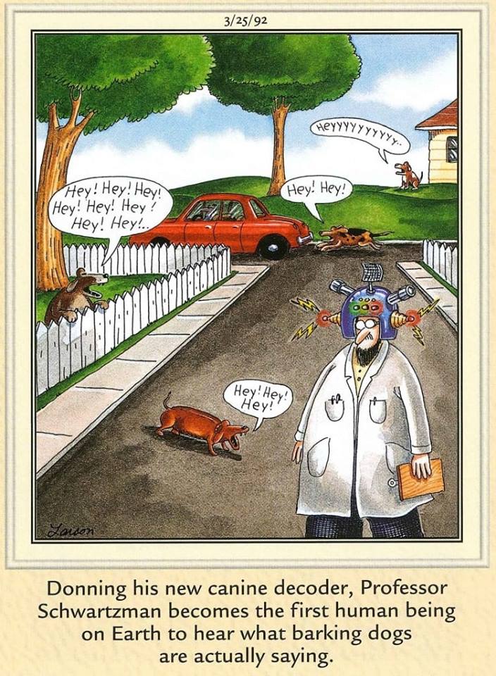 20 Best Funny The Humor Side Comics To Laugh Out Loud 9 the Far Side Comics