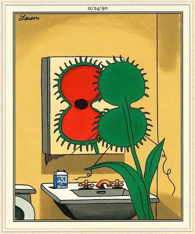 20 Best Humorous Comics That Will Keep You Laughing 4 The Far Side Comics