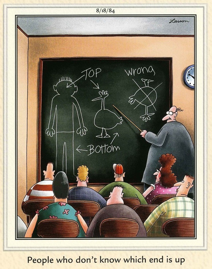 20 Best Humorous Comics That Will Keep You Laughing 6 The Far Side Comics