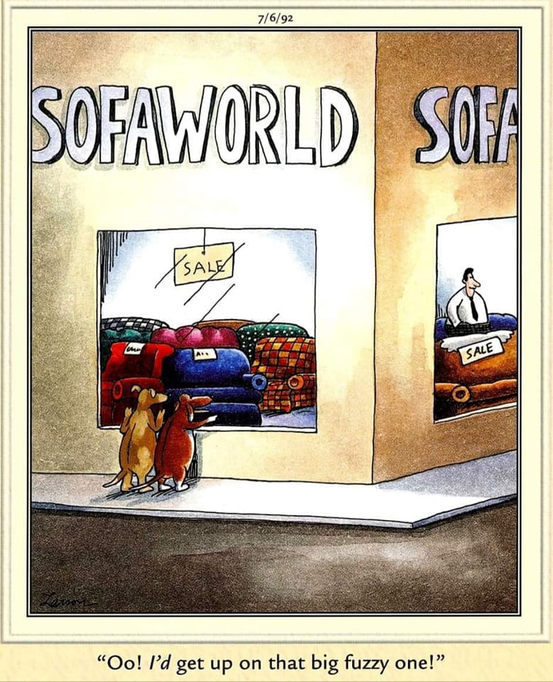 20 Best Humorous Comics That Will Keep You Laughing 7 The Far Side Comics