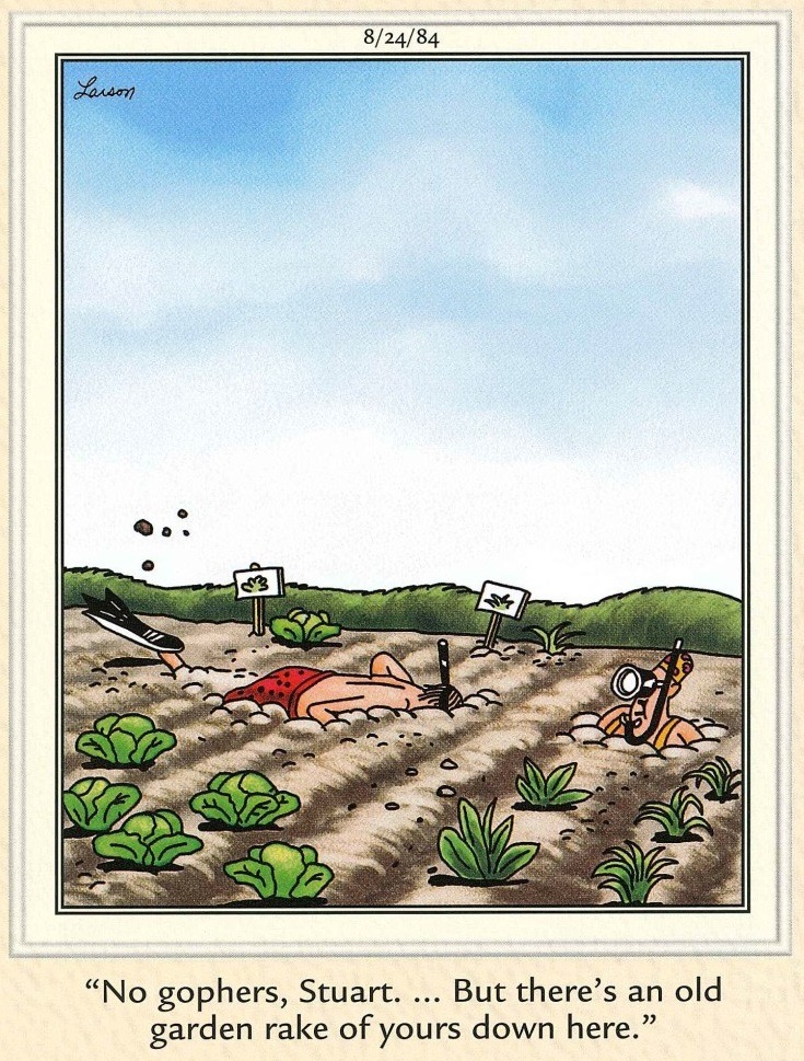 20 Best Humorous Comics That Will Keep You Laughing 8 The Far Side Comics