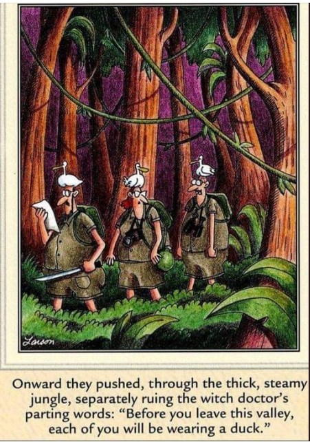 20 Hilarious Far Side Comics That Will Lift Your Soul 5 The Far Side Comics
