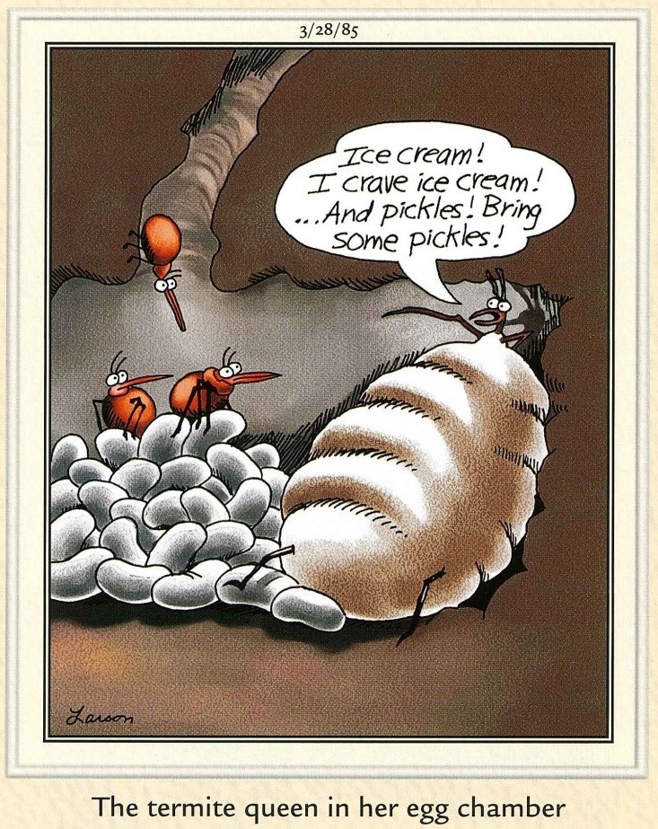 20 Best The Far Side Comics That Will Boost Your Mood 3 the far side comics 51